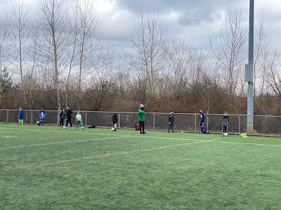 Soccer Field image 1