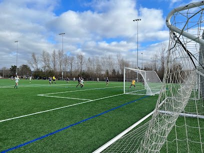 Soccer Field image 1