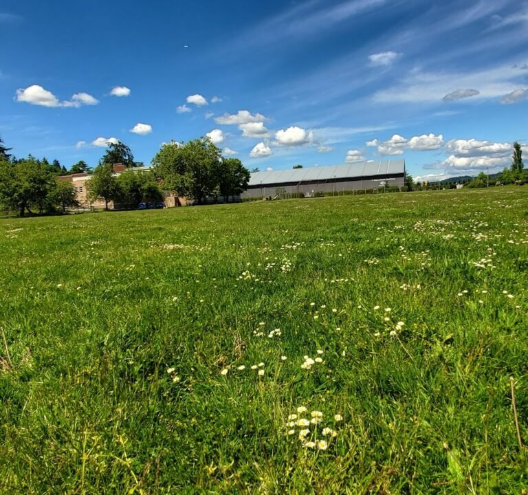 Soccer Field image 2