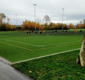 Soccer Field image 3