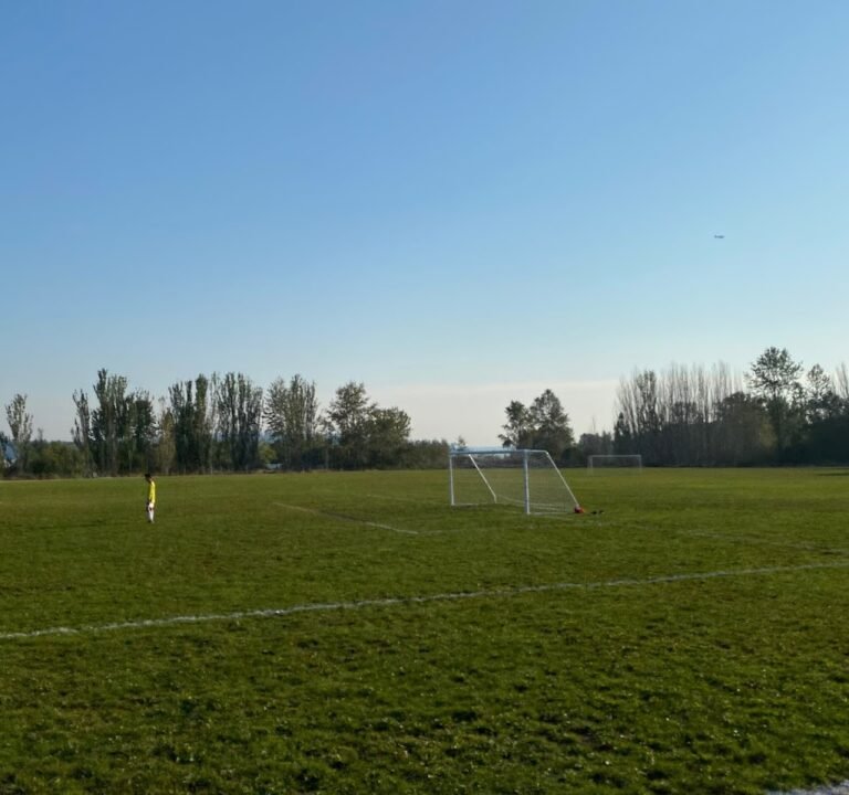 Soccer Field image 3