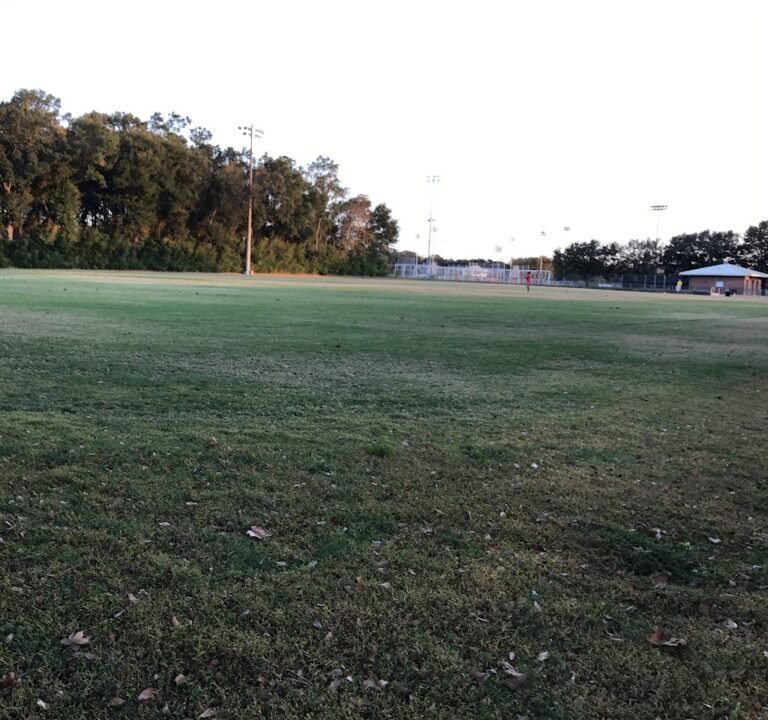 Soccer Field image 2