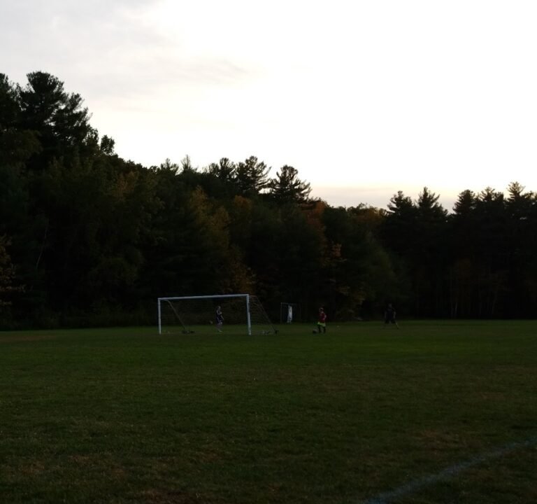 Soccer Field image 3