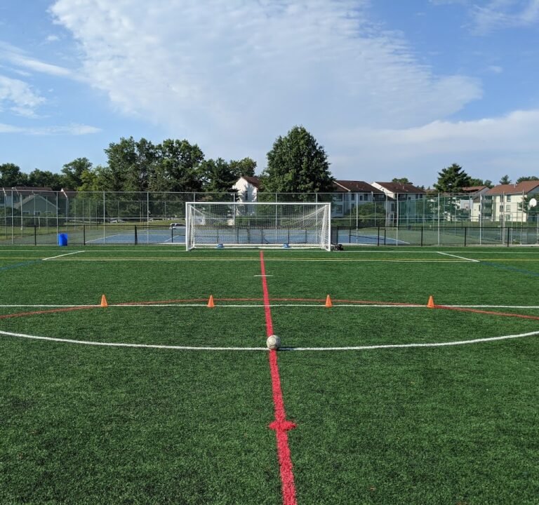 Soccer Field image 2