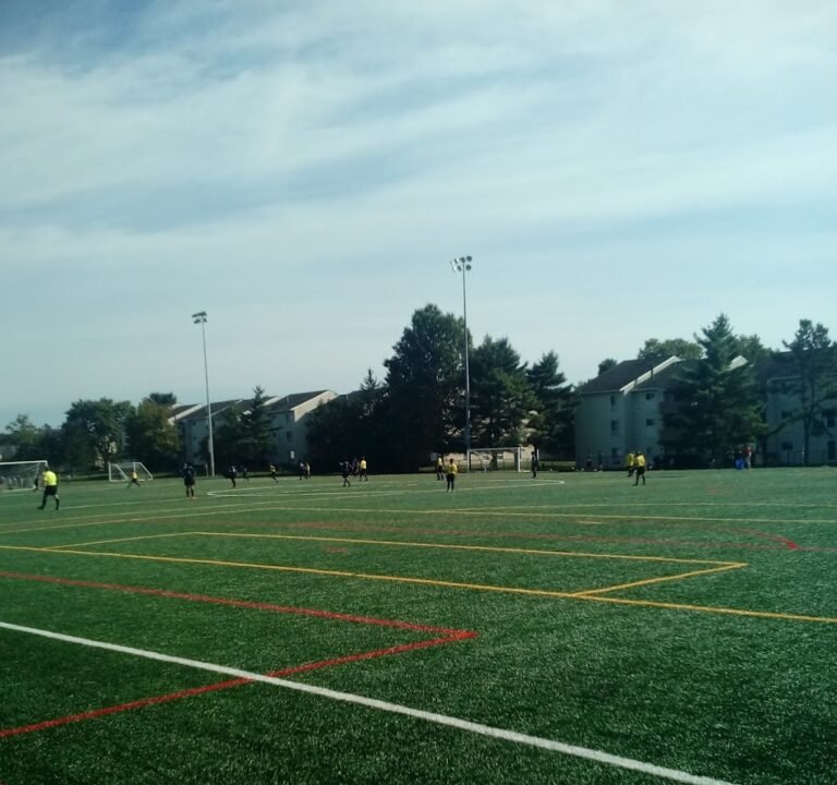 Soccer Field image 3