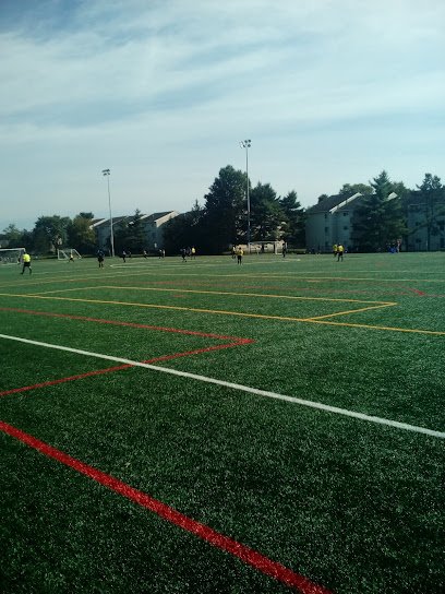 Soccer Field image 1