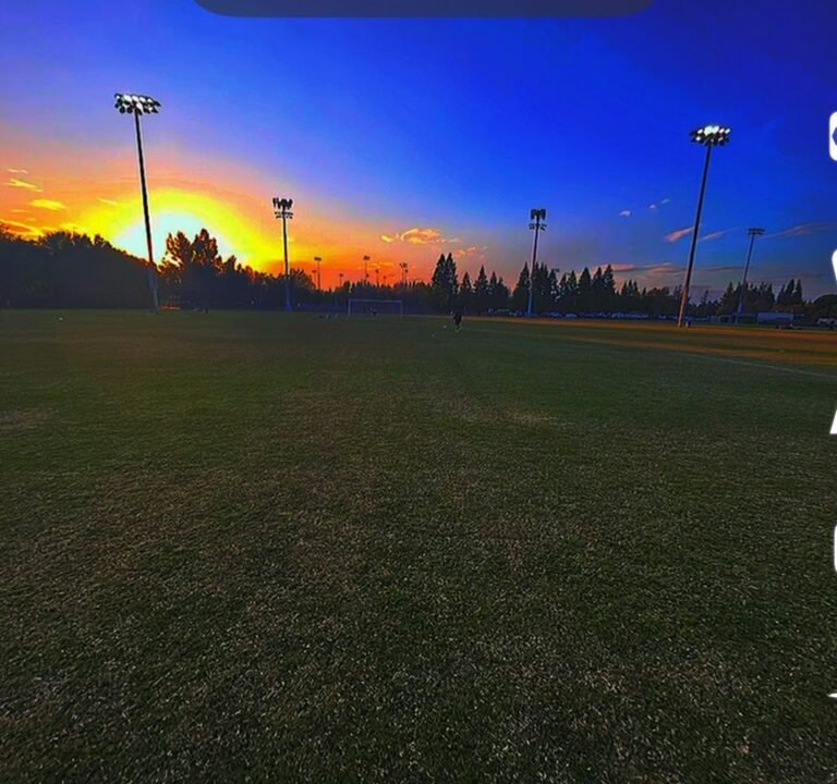 Soccer Field image 2