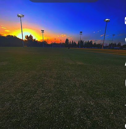 Soccer Field image 1