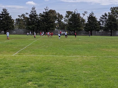 Soccer Field image 1