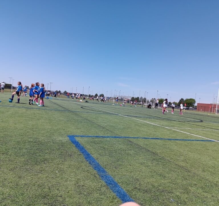 Soccer Field image 2