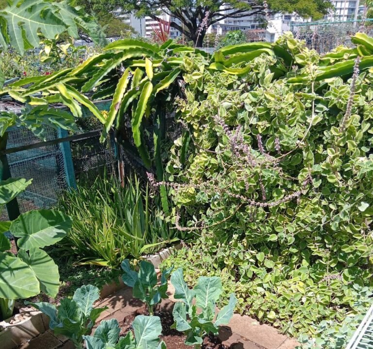 Soccer Field image 3