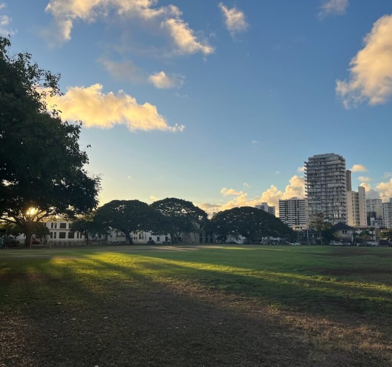 Soccer Field image 2