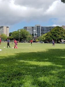Soccer Field image 1