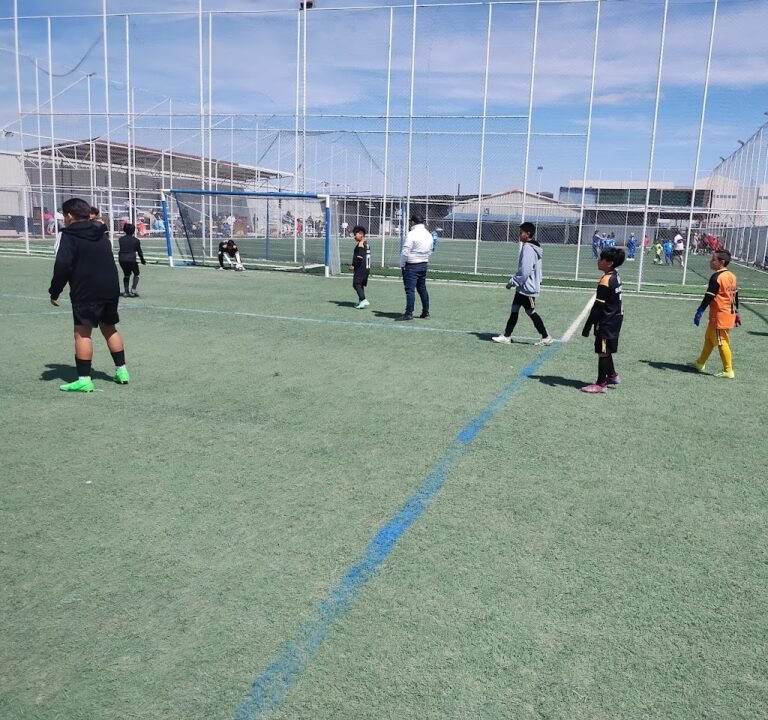 Soccer Field image 2