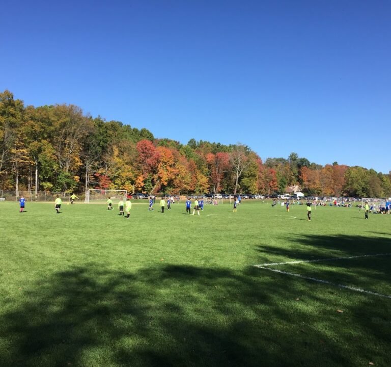 Soccer Field image 2
