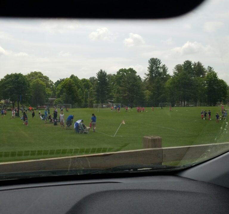 Soccer Field image 3