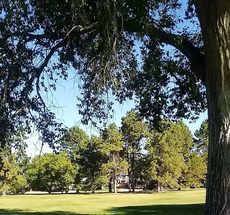 Soccer Field image 4