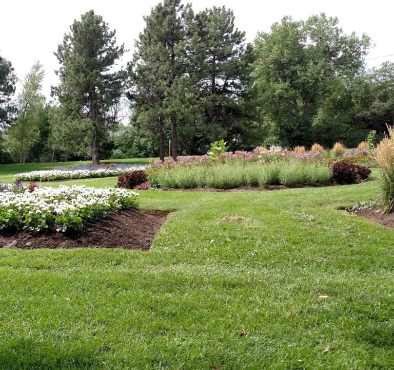 Soccer Field image 2