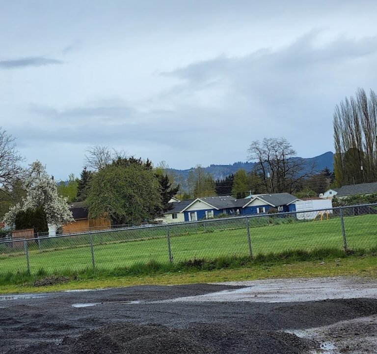Soccer Field image 2