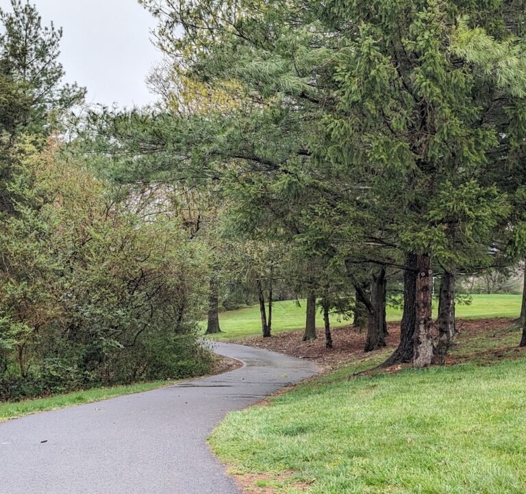 Soccer Field image 2