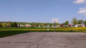 Soccer Field image 1