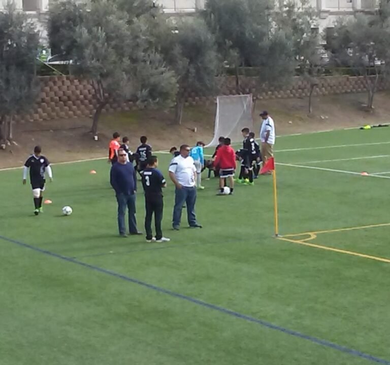 Soccer Field image 3