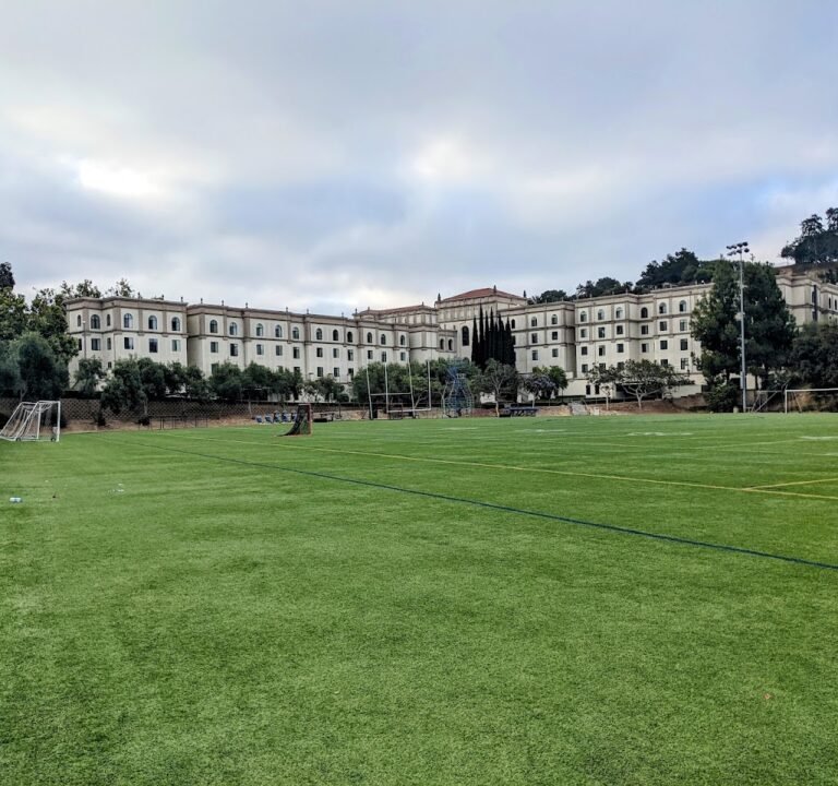 Soccer Field image 2