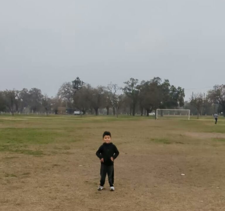 Soccer Field image 3