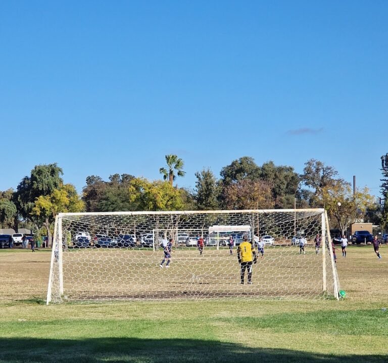 Soccer Field image 2