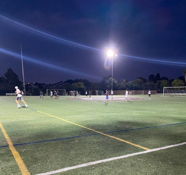 Soccer Field image 2