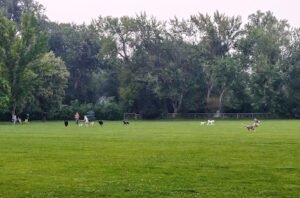 Soccer Field image 1