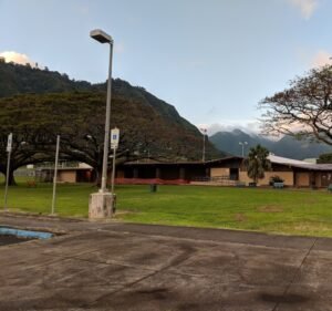 Soccer Field image 2