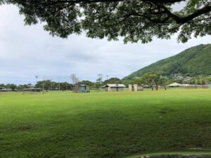 Soccer Field image 1