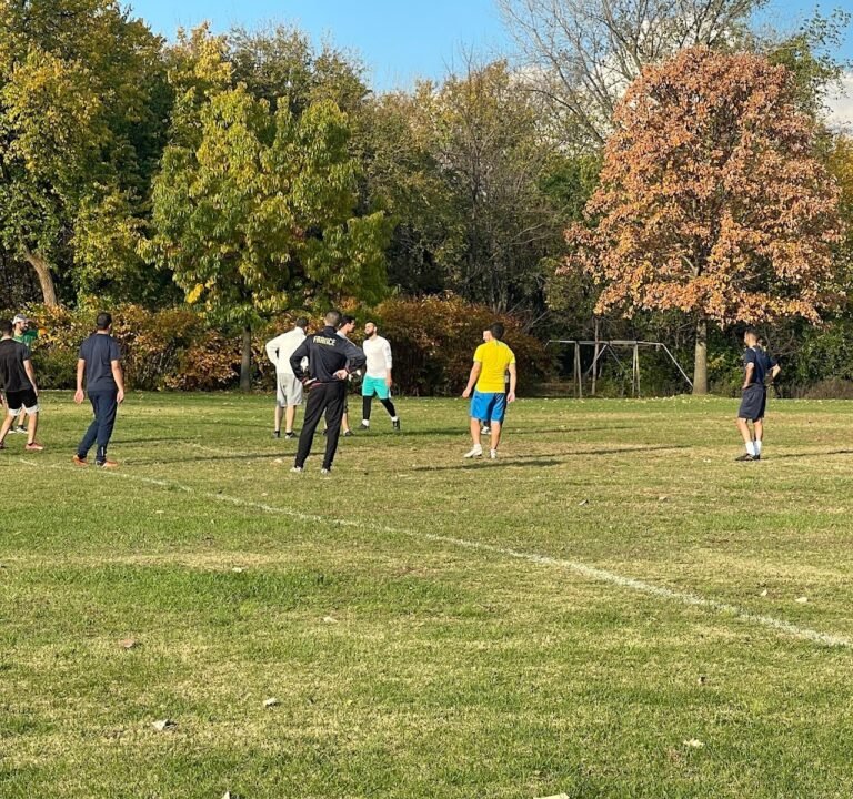 Soccer Field image 2