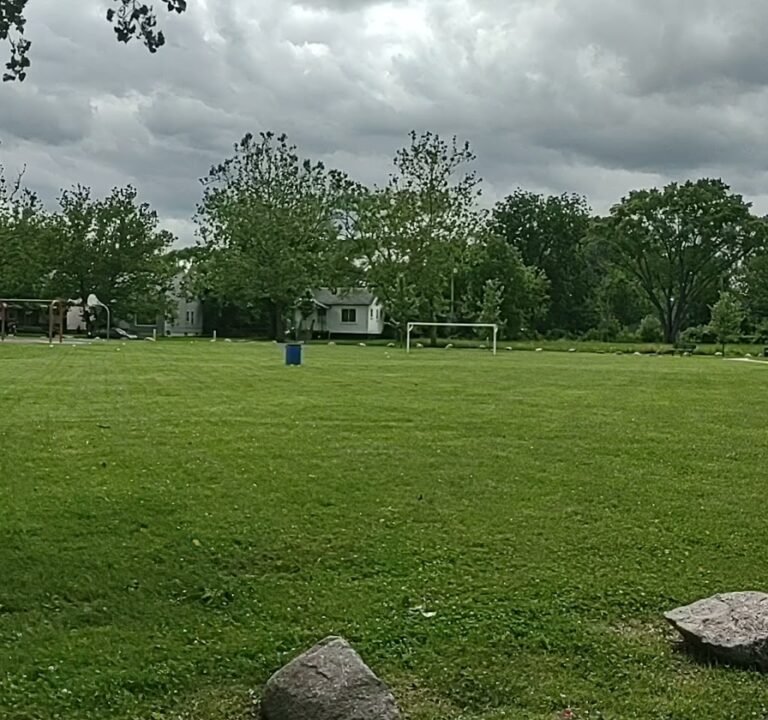 Soccer Field image 4
