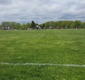 Soccer Field image 2