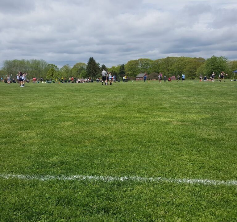 Soccer Field image 2