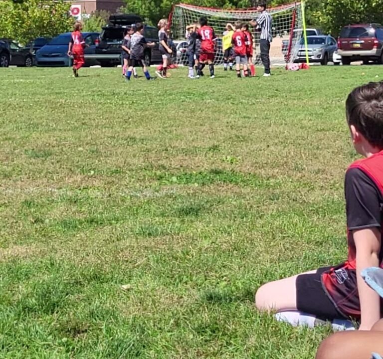 Soccer Field image 3