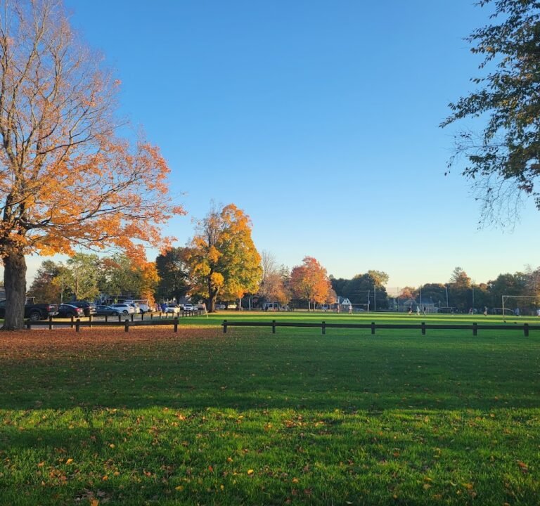 Soccer Field image 2