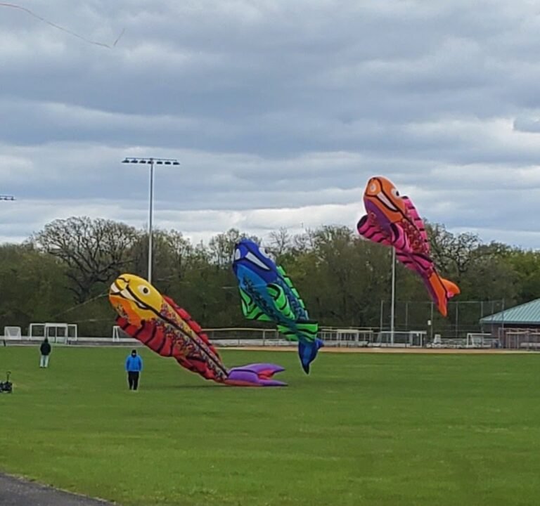Soccer Field Featured Image