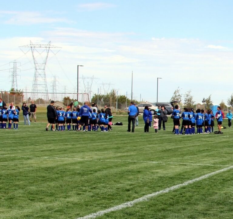 Soccer Field image 2