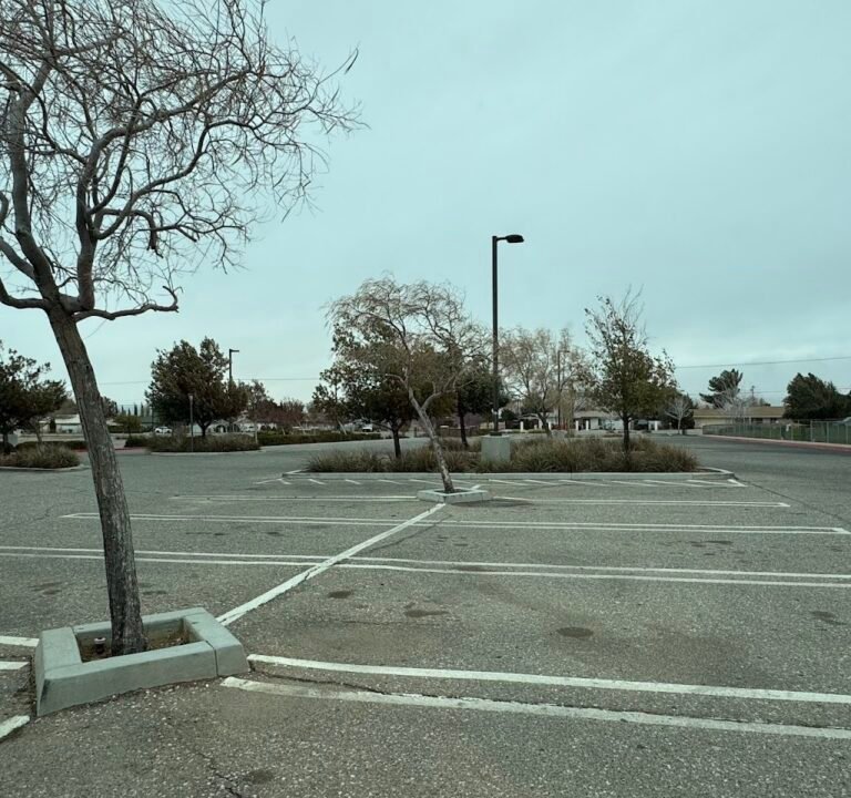 Soccer Field image 3