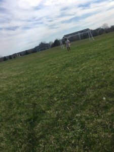 Soccer Field image 1
