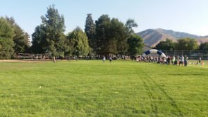 Soccer Field image 1