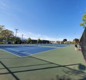 Soccer Field image 2