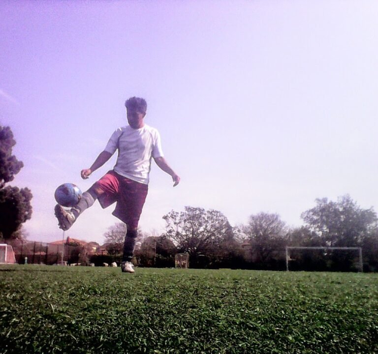 Soccer Field image 2