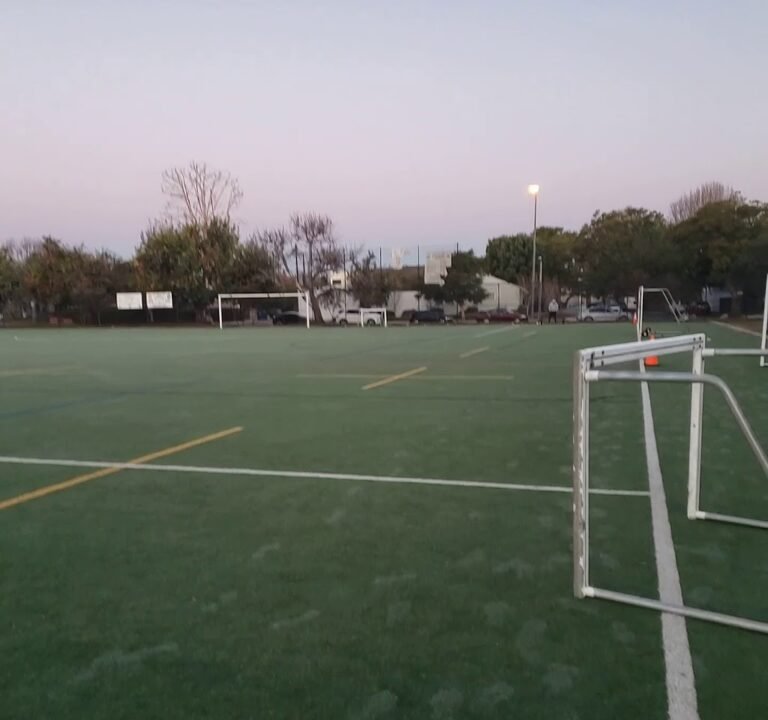 Soccer Field image 4
