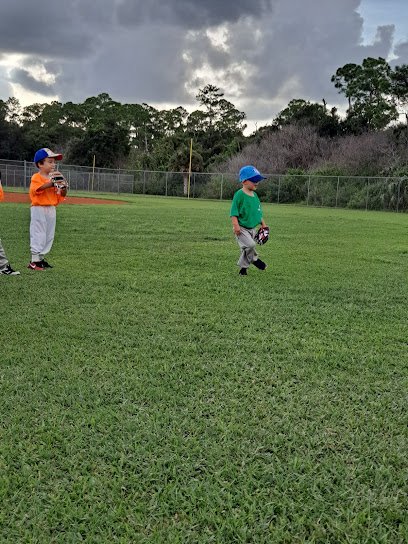 Soccer Field image 1