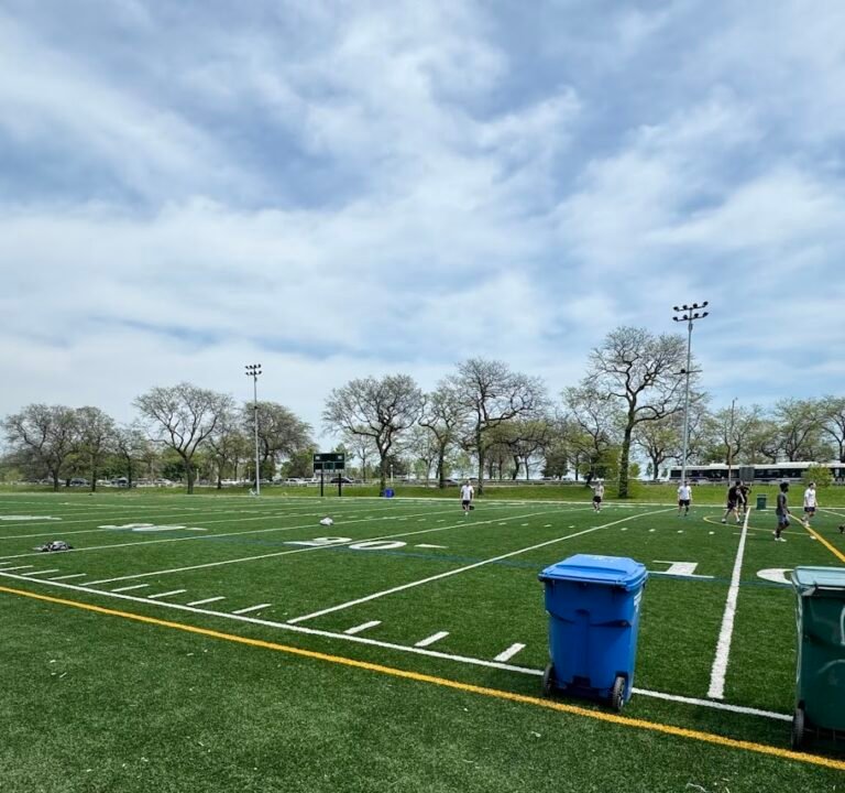 Soccer Field image 2