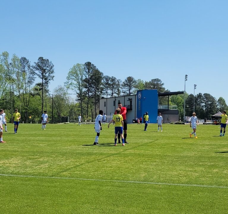 Soccer Field image 2